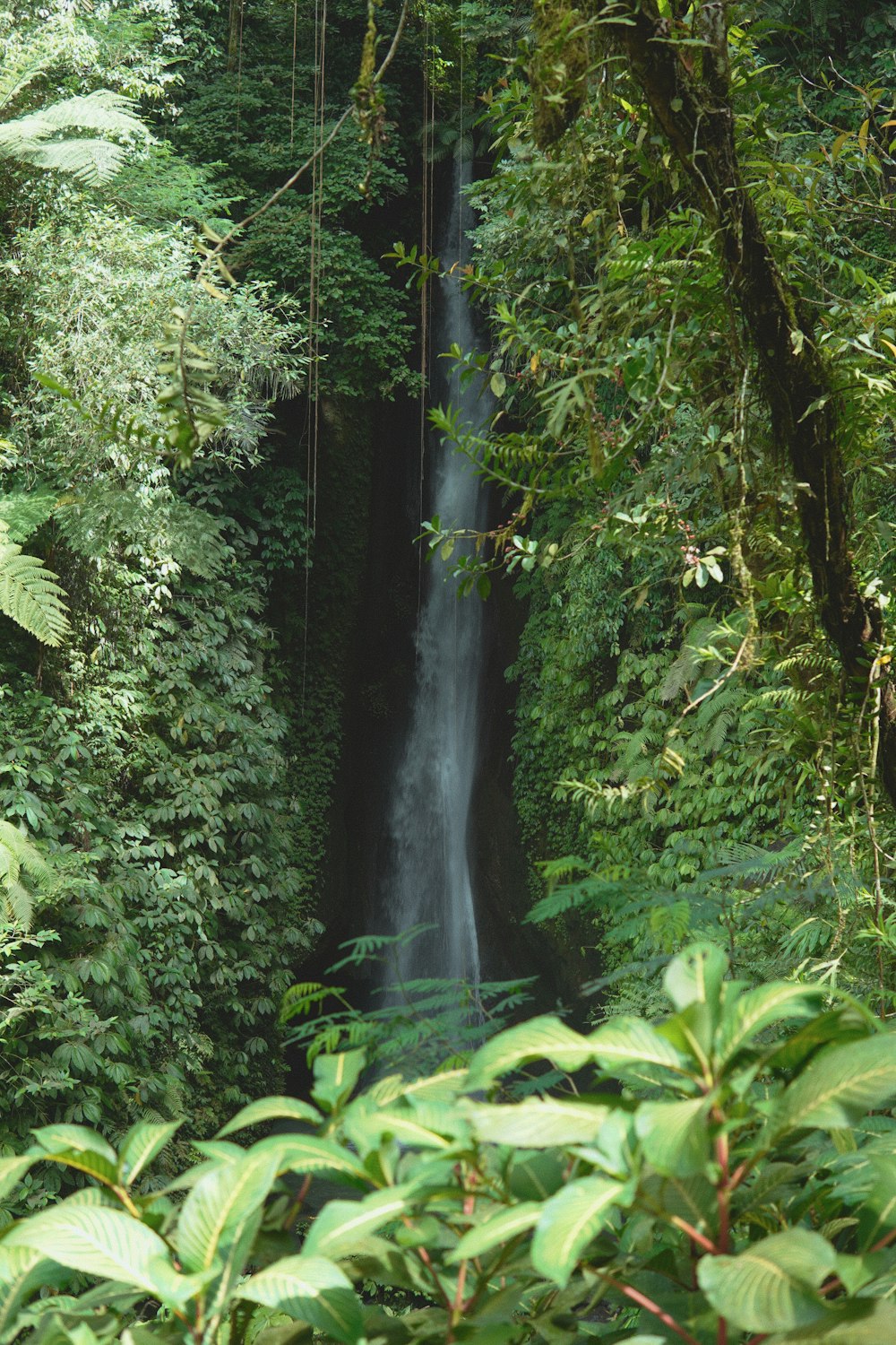 a waterfall in a forest