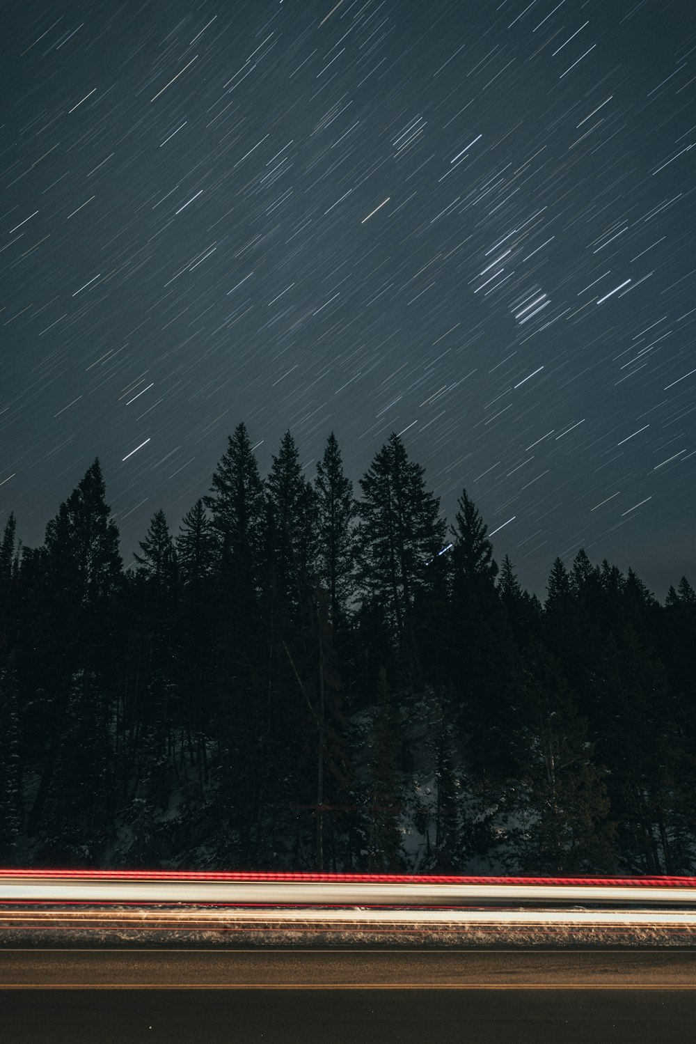 Una strada alberata e un cielo stellato sullo sfondo