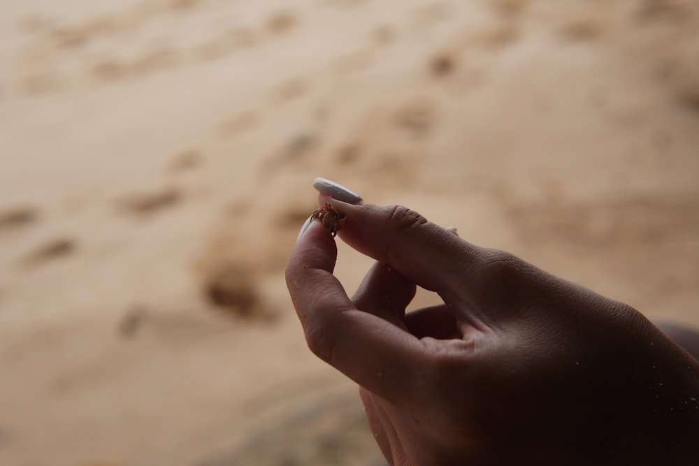 a hand holding a small rock