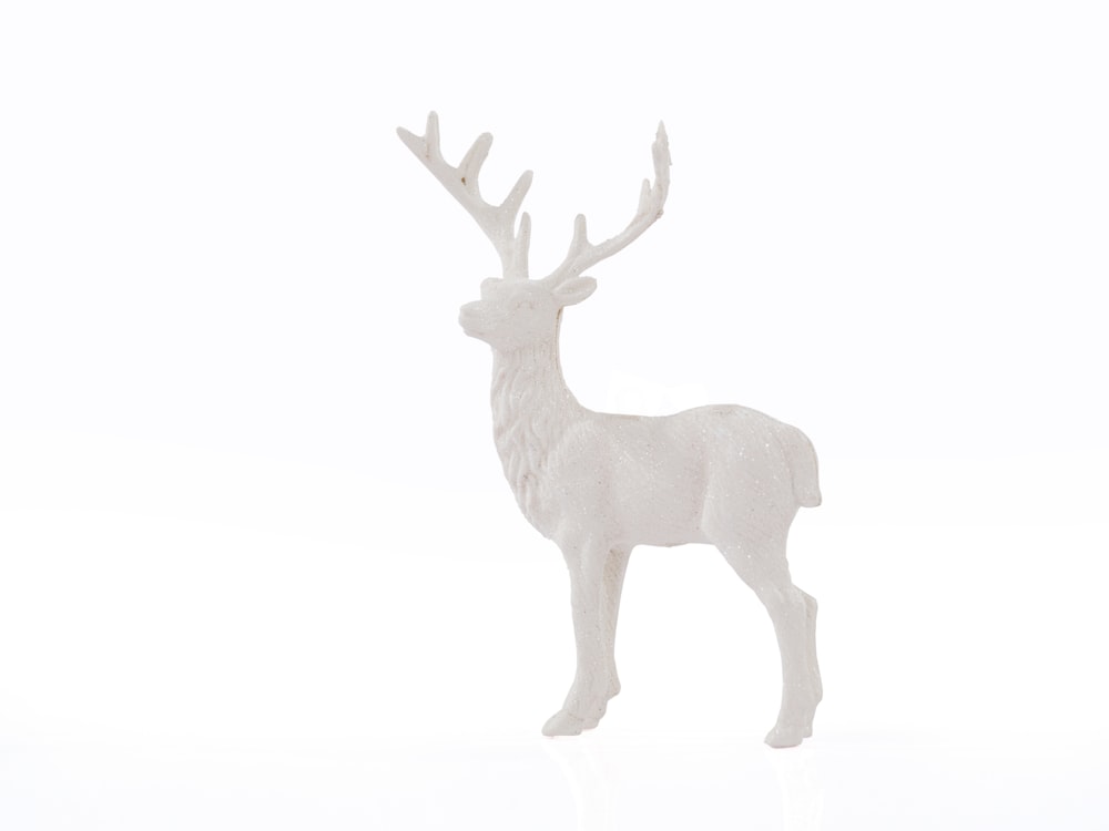 a white deer with antlers