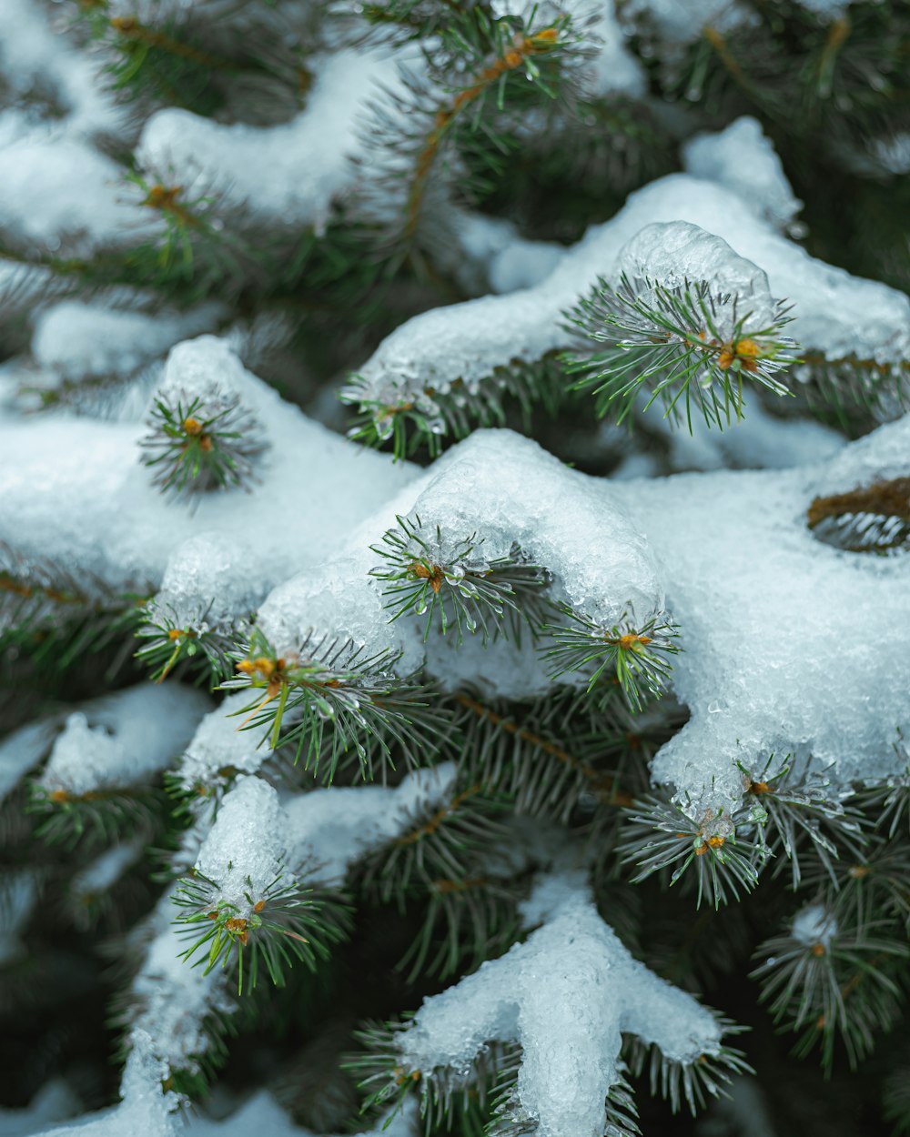 a close up of some snow