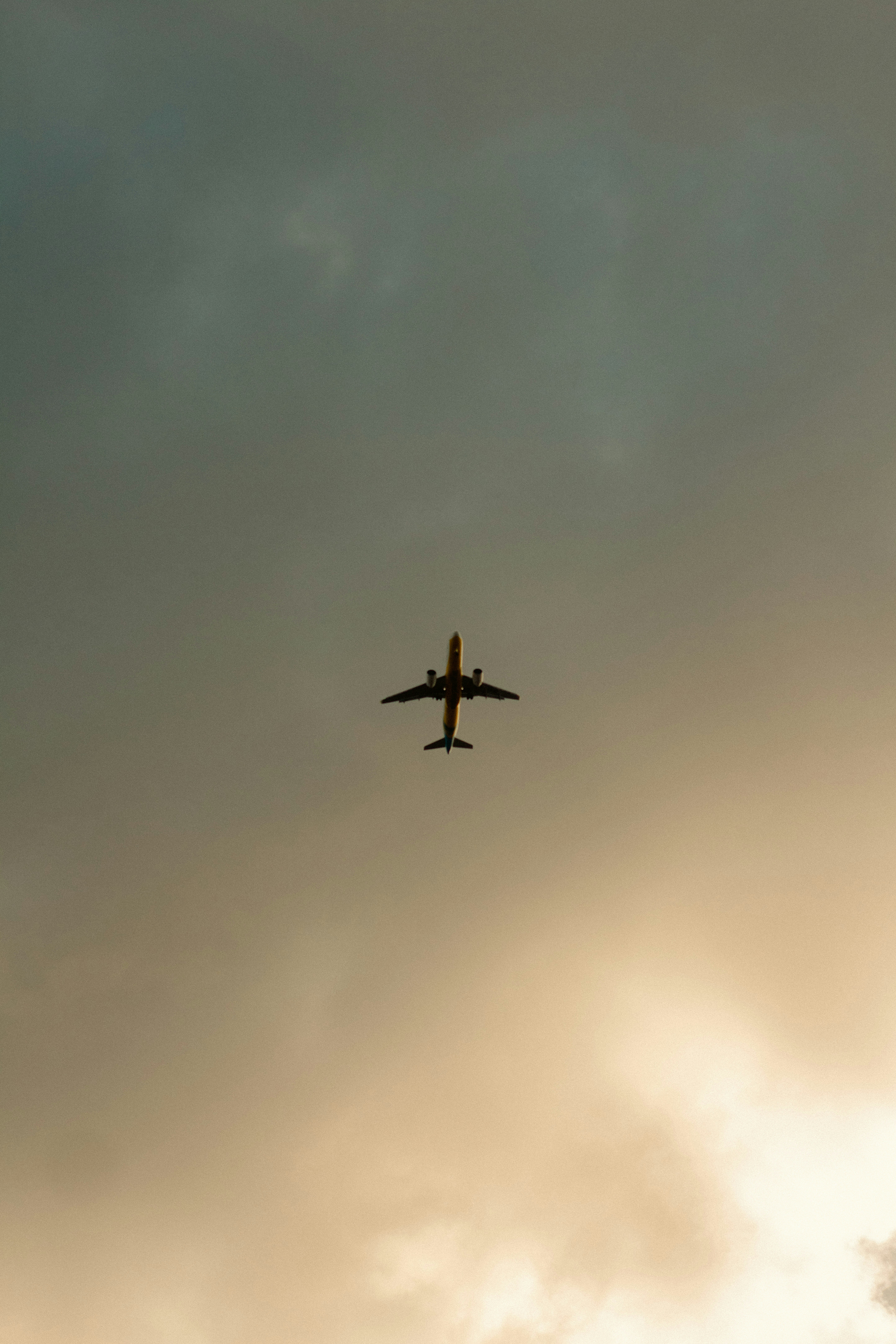 Photo by johnesperancilla