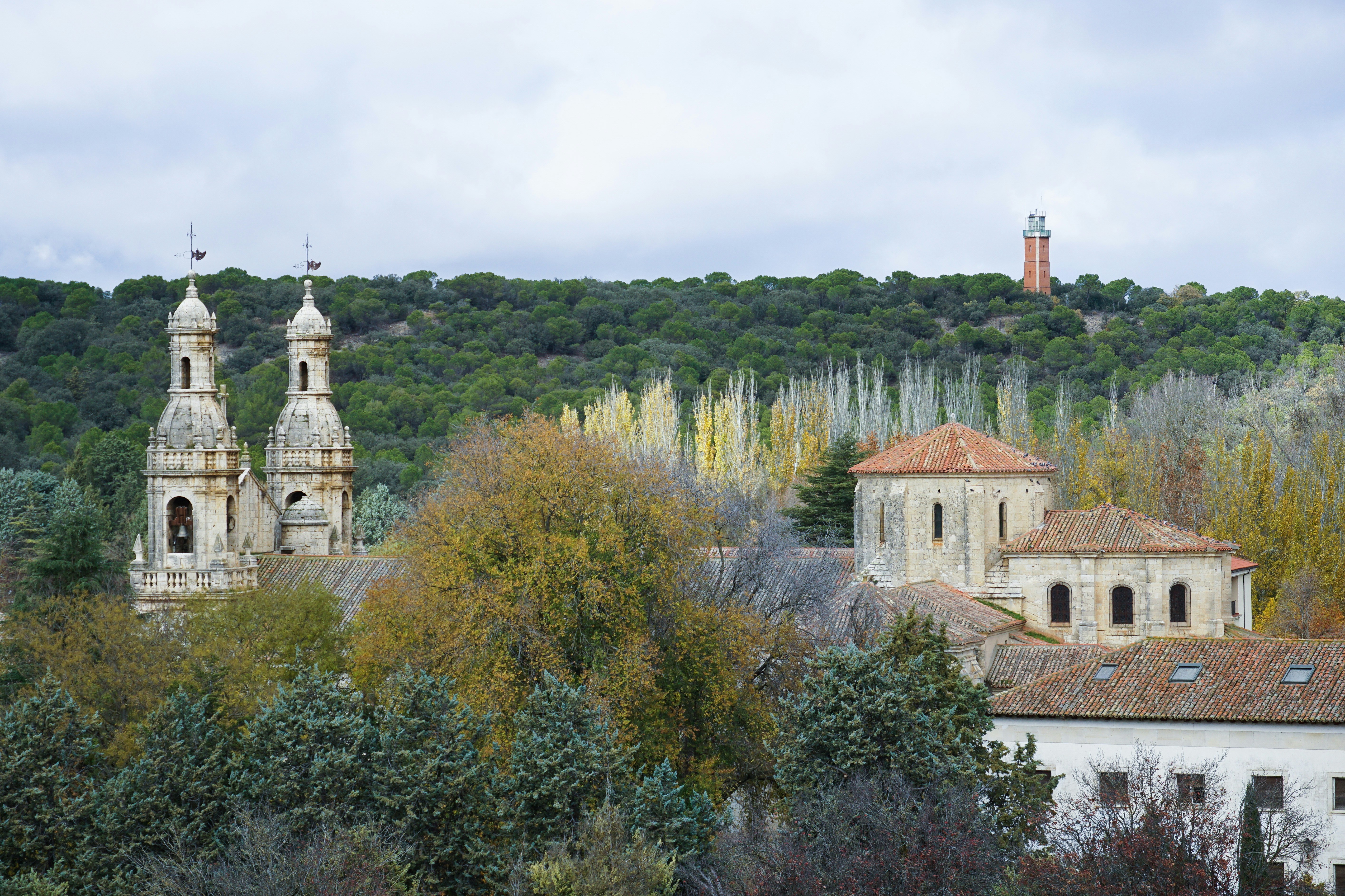 Photo by mariocarton