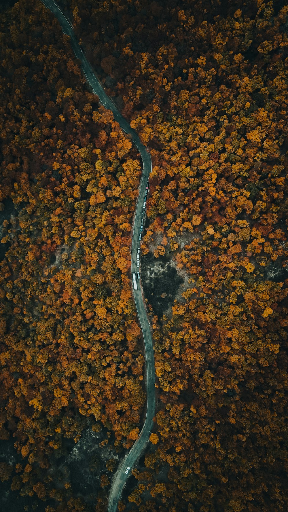 a close-up of a road