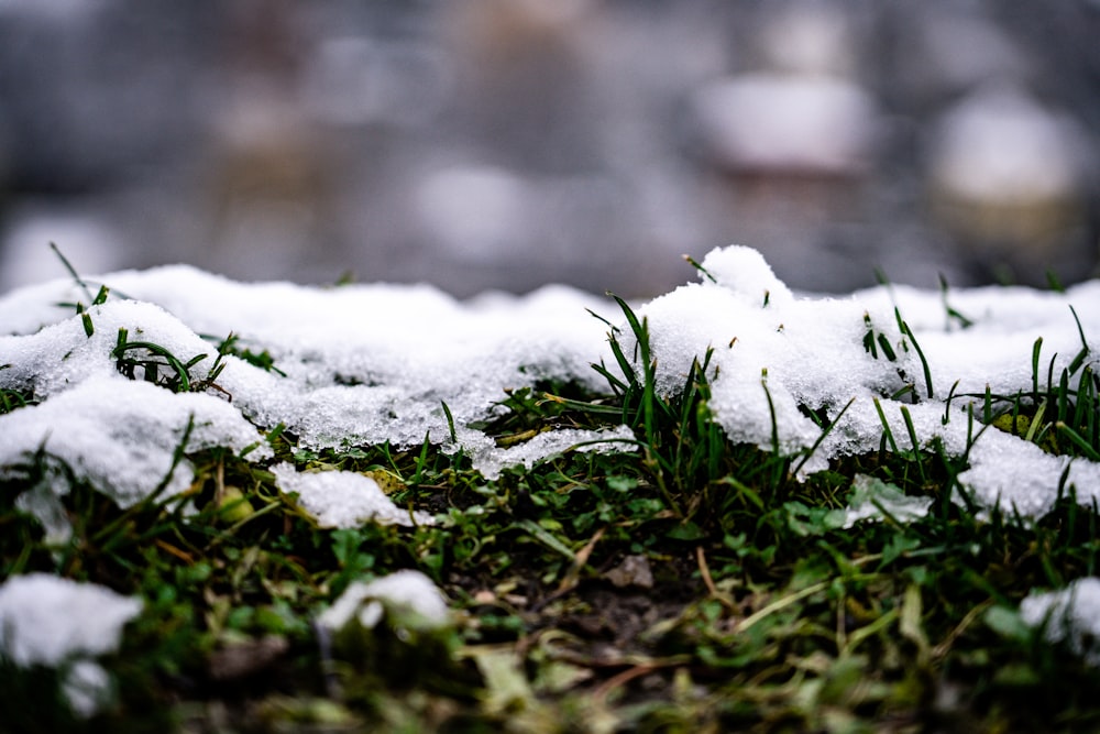 a close up of some snow