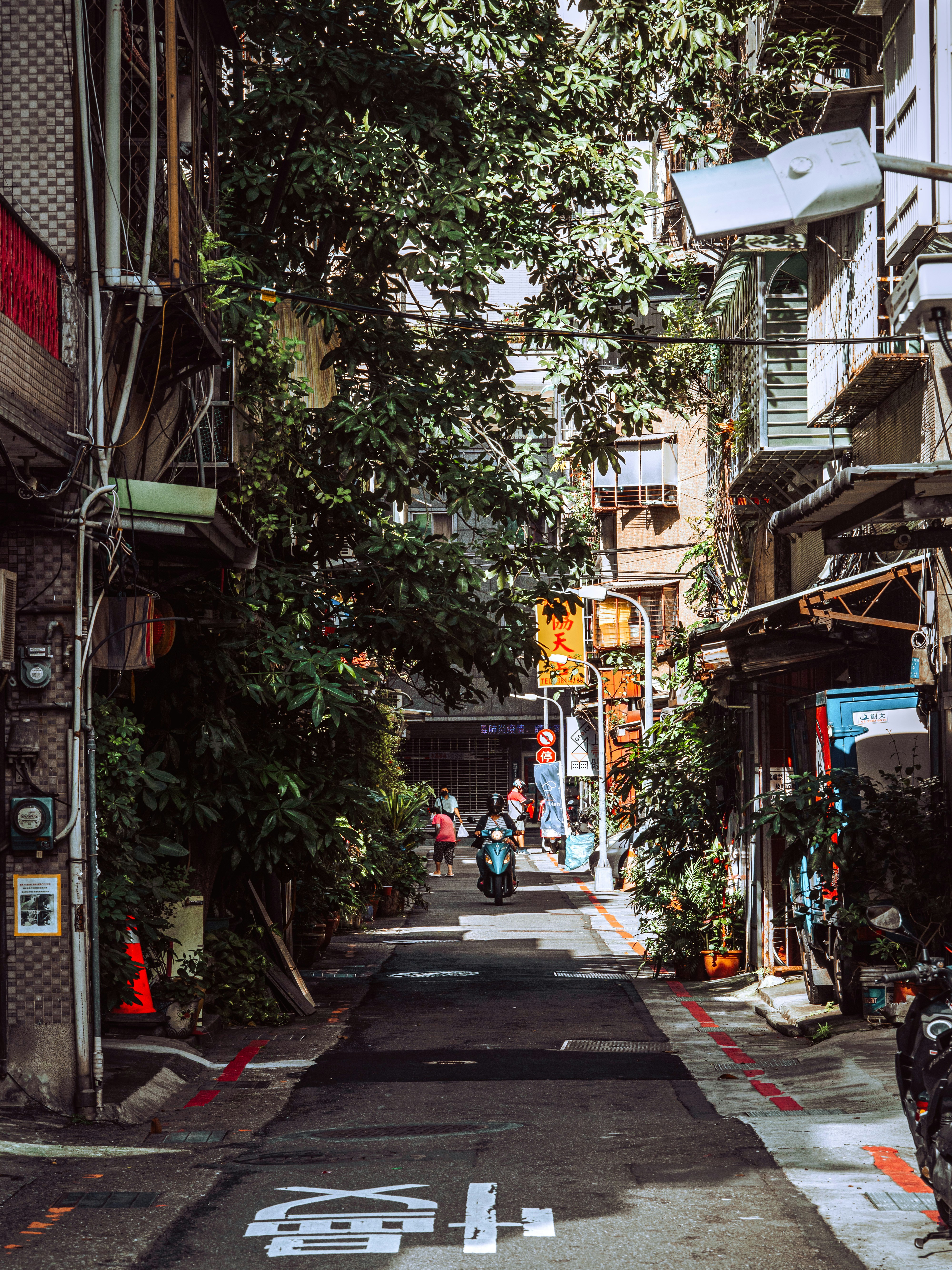 Photo by ronaldo_liu