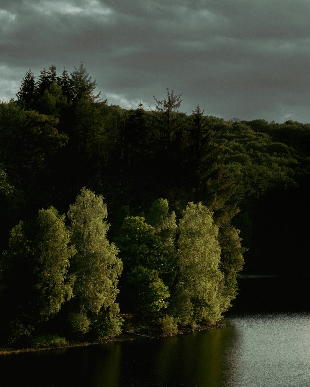 a body of water with trees around it