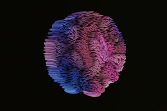 a pink and purple jellyfish