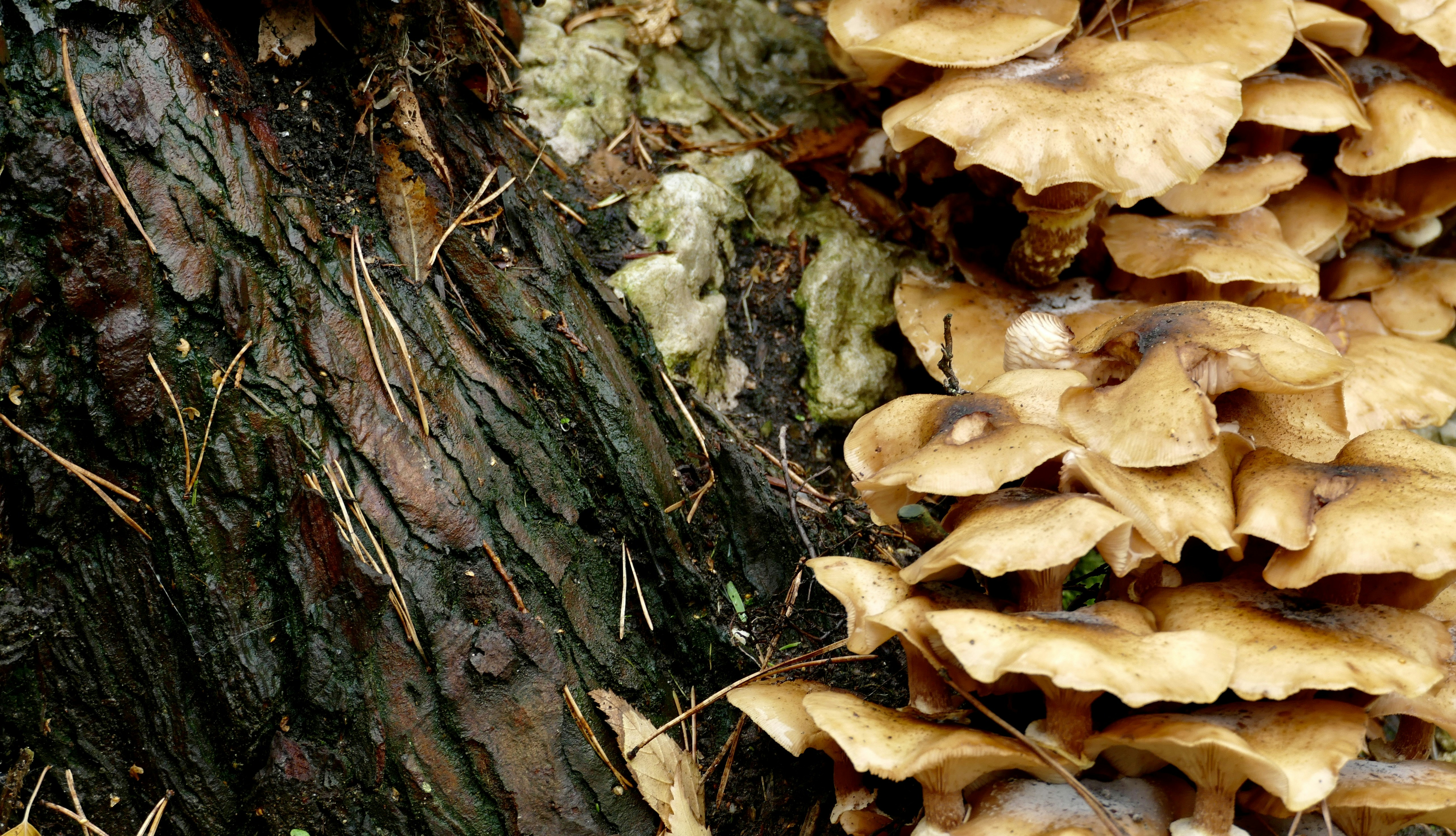 Photo by jonnieturpie