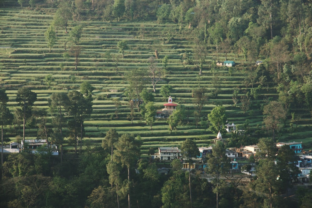 a landscape with trees and buildings