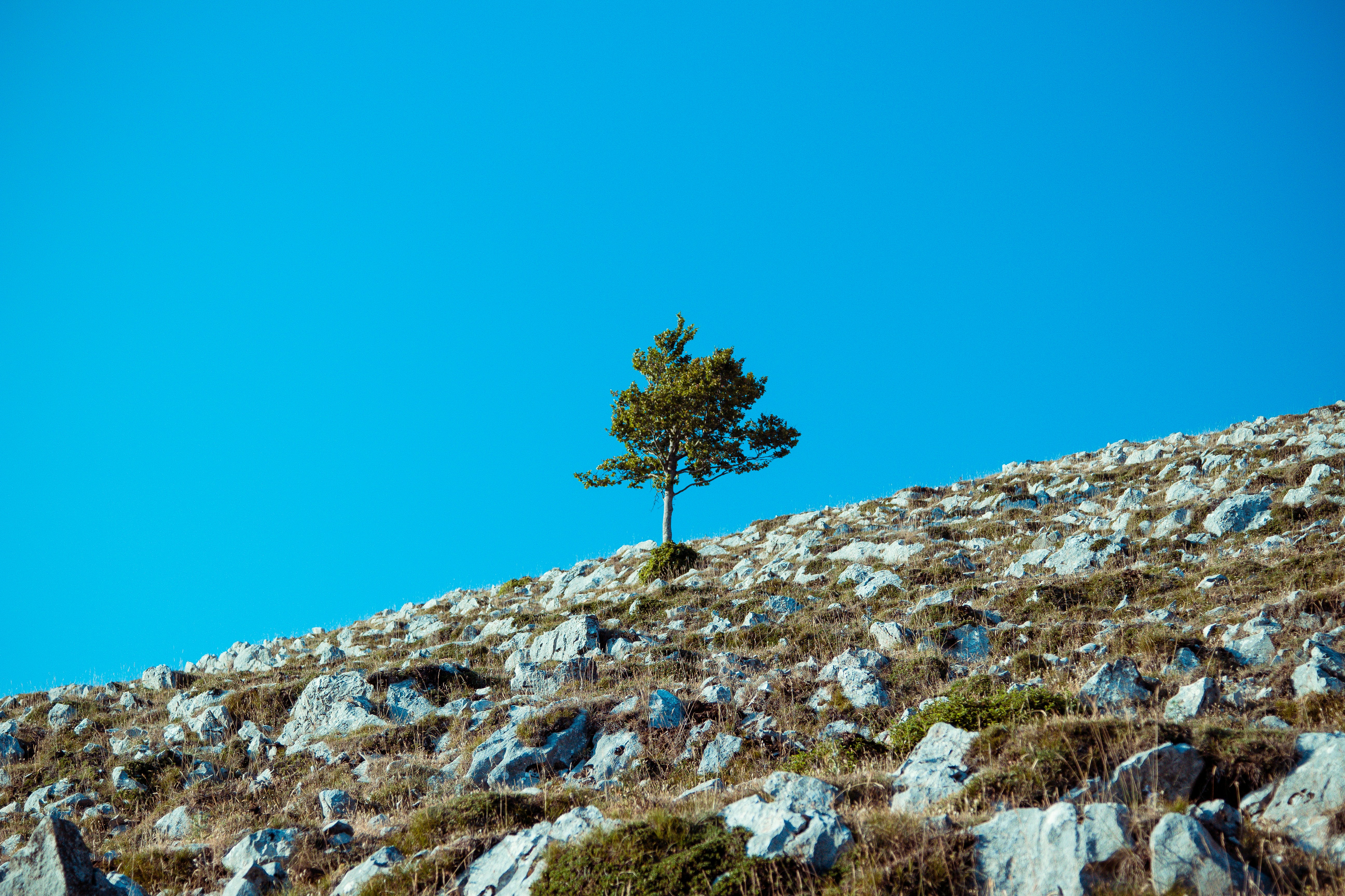 Photo by madcaplaughs