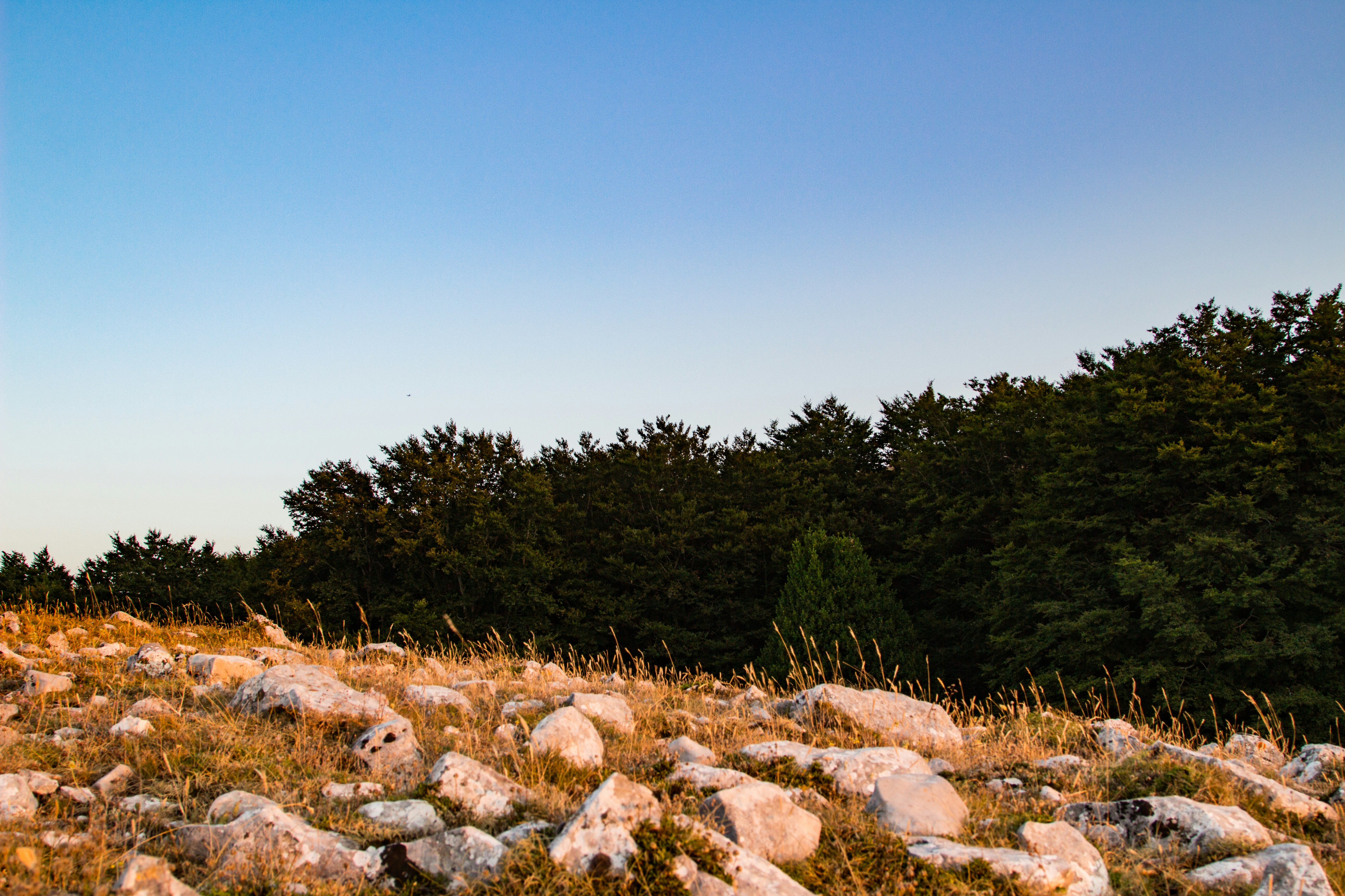 Photo by madcaplaughs