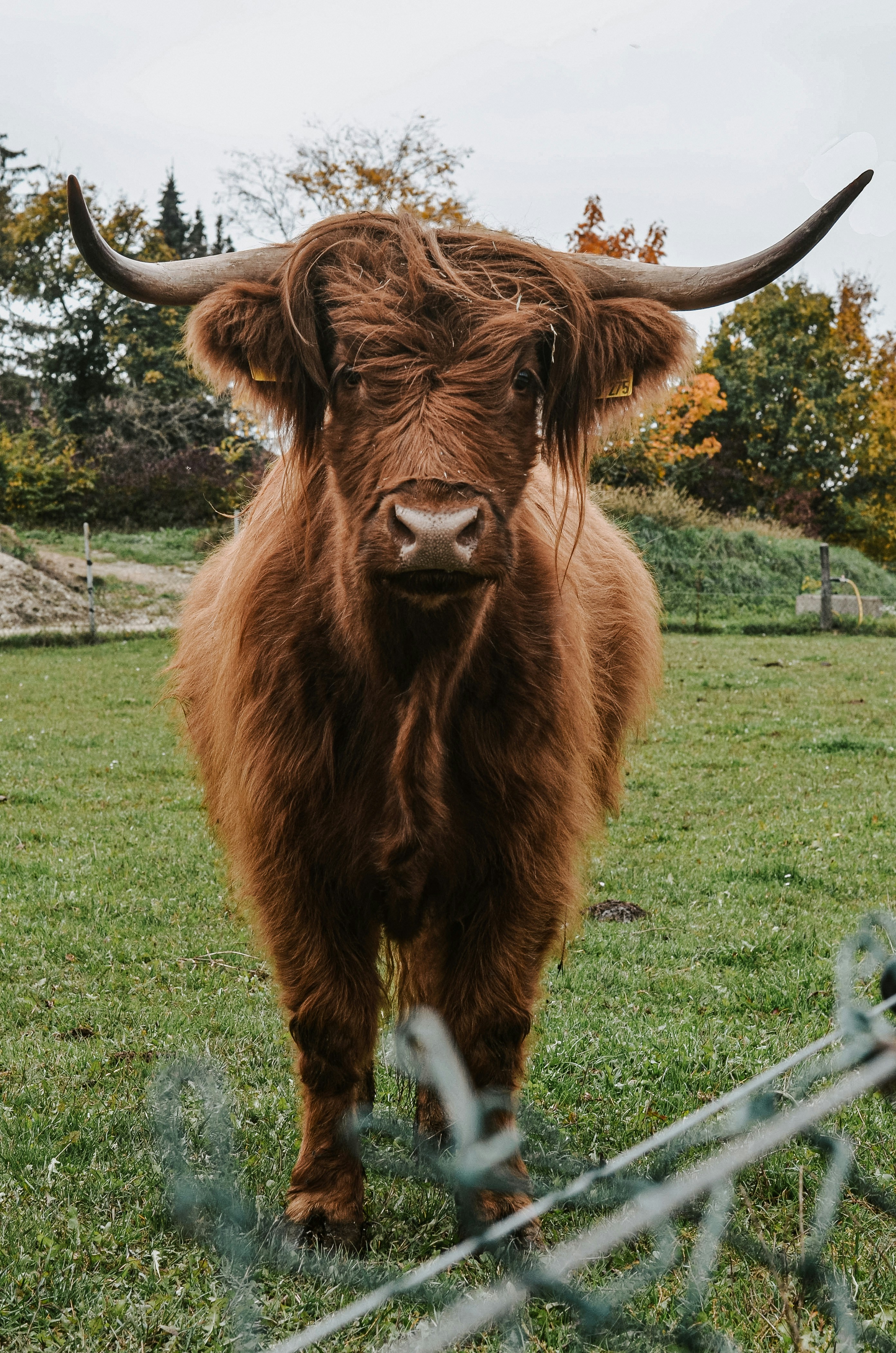 Photo by egalschillerwardichter