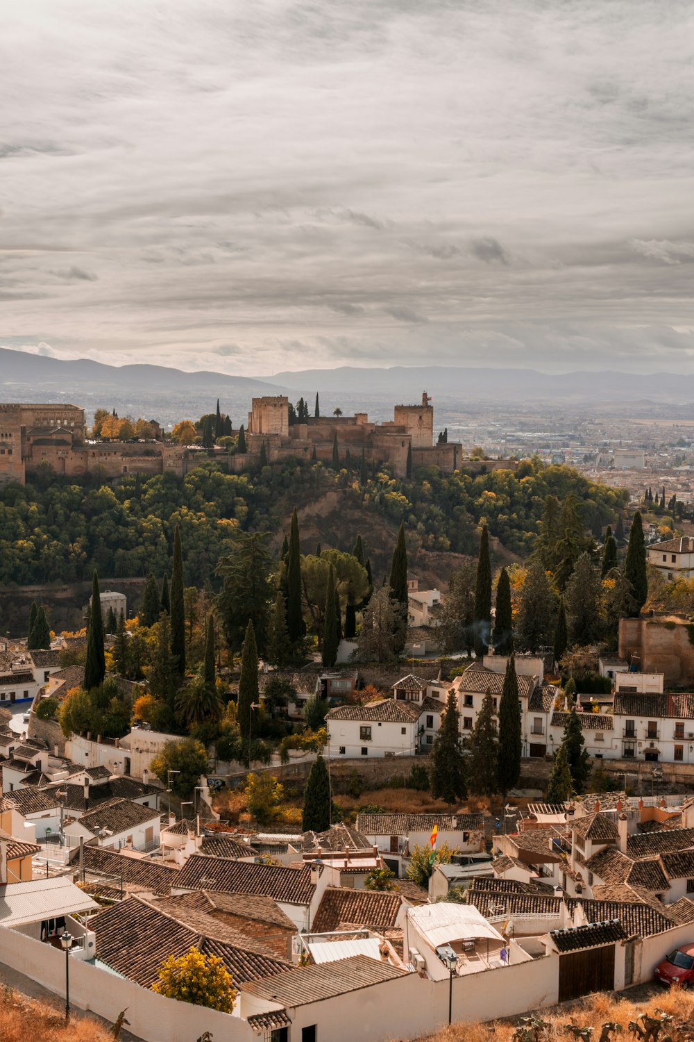 a city with many buildings and trees