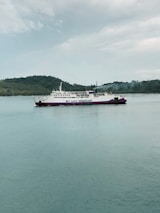 A large ferry with the phrase 'We Love Indonesia' painted on the side is sailing in calm waters. In the background, there is a hilly shoreline covered with greenery under a cloudy sky.