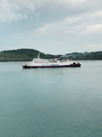 A large ferry with the phrase 'We Love Indonesia' painted on the side is sailing in calm waters. In the background, there is a hilly shoreline covered with greenery under a cloudy sky.