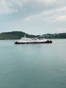 A large ferry with the phrase 'We Love Indonesia' painted on the side is sailing in calm waters. In the background, there is a hilly shoreline covered with greenery under a cloudy sky.
