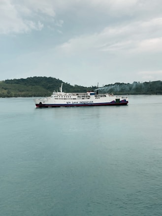 A large ferry with the phrase 'We Love Indonesia' painted on the side is sailing in calm waters. In the background, there is a hilly shoreline covered with greenery under a cloudy sky.