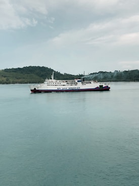 A large ferry with the phrase 'We Love Indonesia' painted on the side is sailing in calm waters. In the background, there is a hilly shoreline covered with greenery under a cloudy sky.