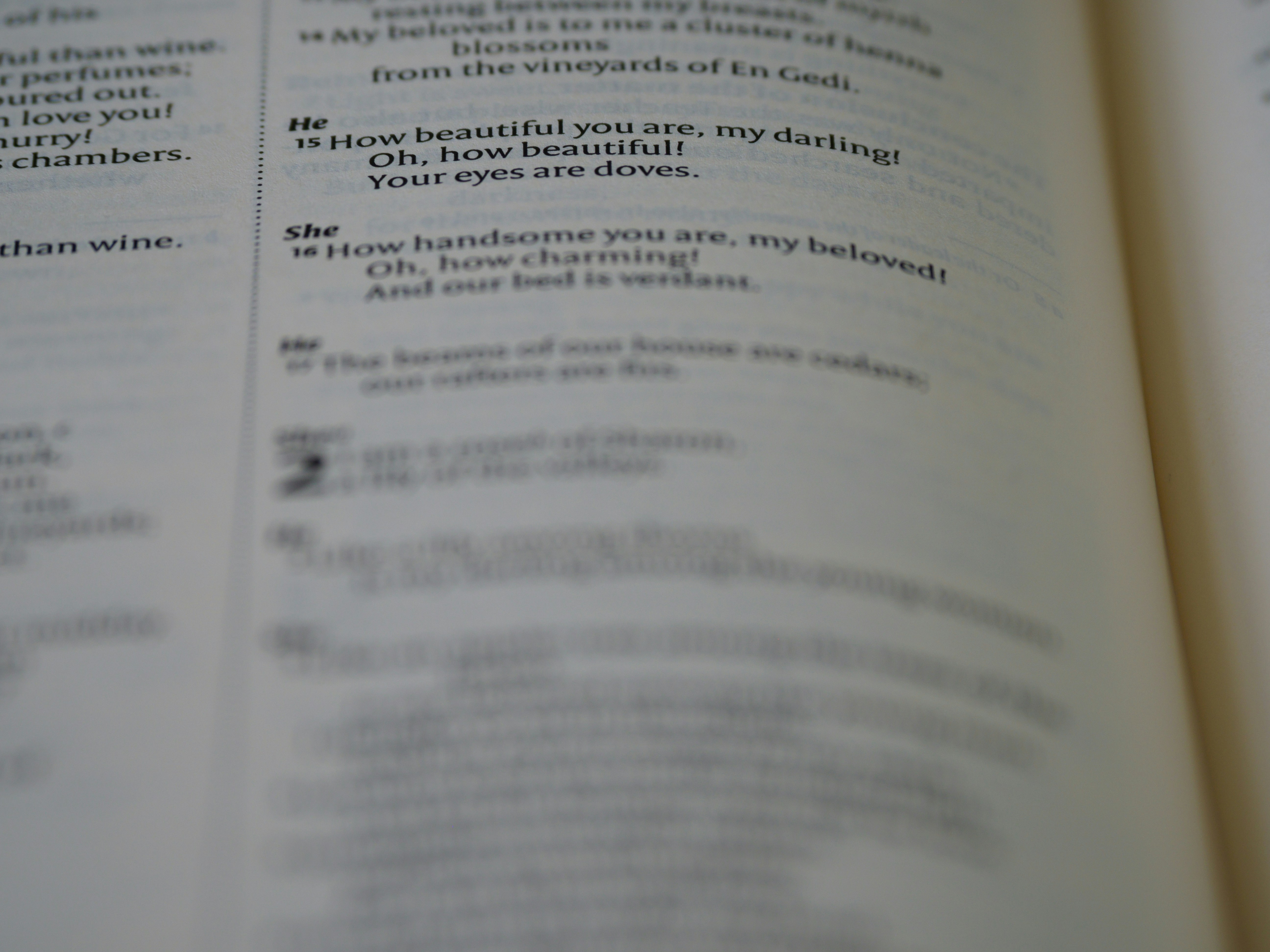 Photo by brett_jordan