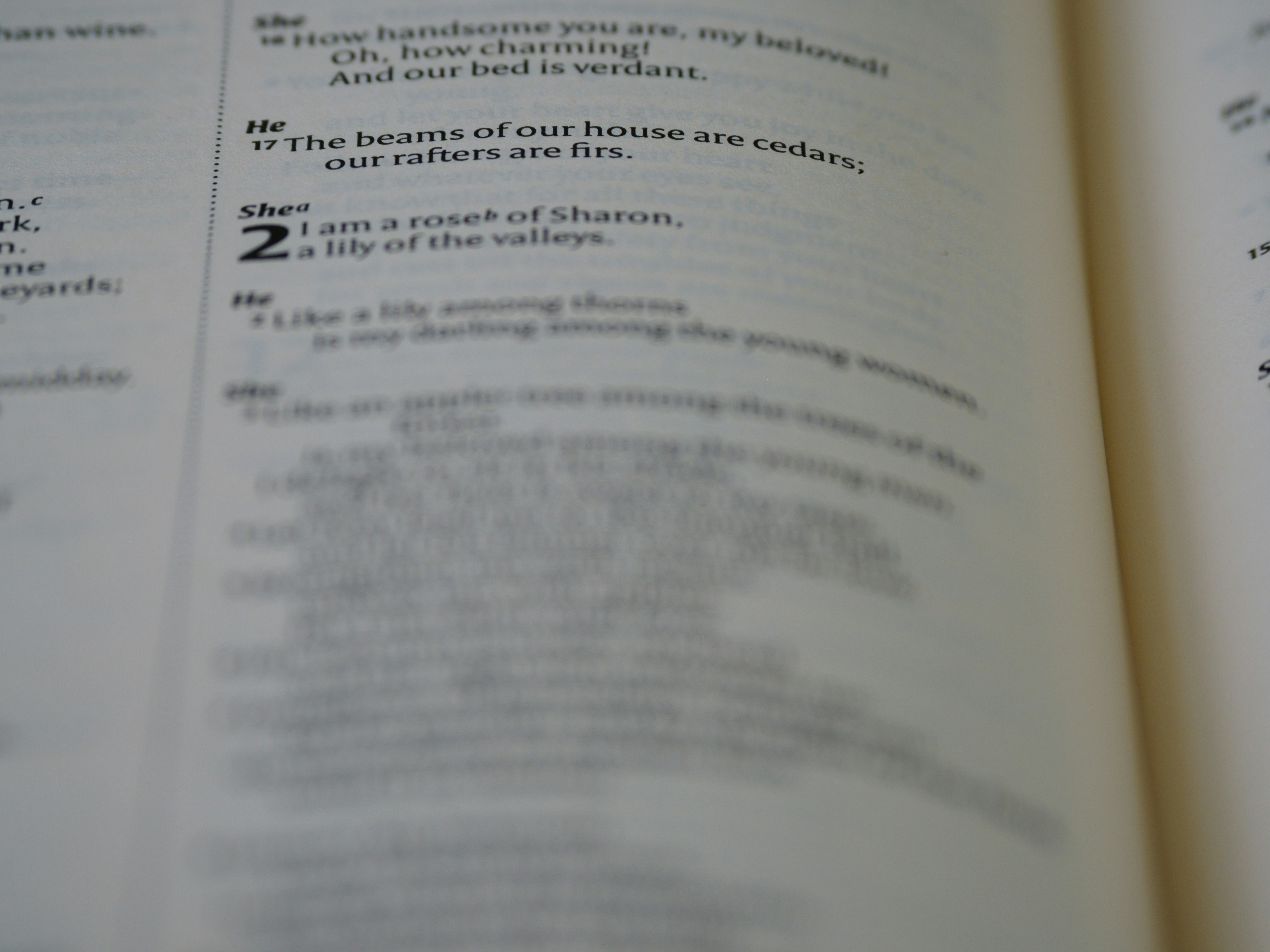 Photo by brett_jordan