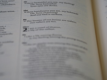 A close-up of an open book, displaying text in a serif font. Some words are bolded, and there is a clear distinction between different sections labeled "She" and "He." The focus is on the right side, while the left side is more blurred.