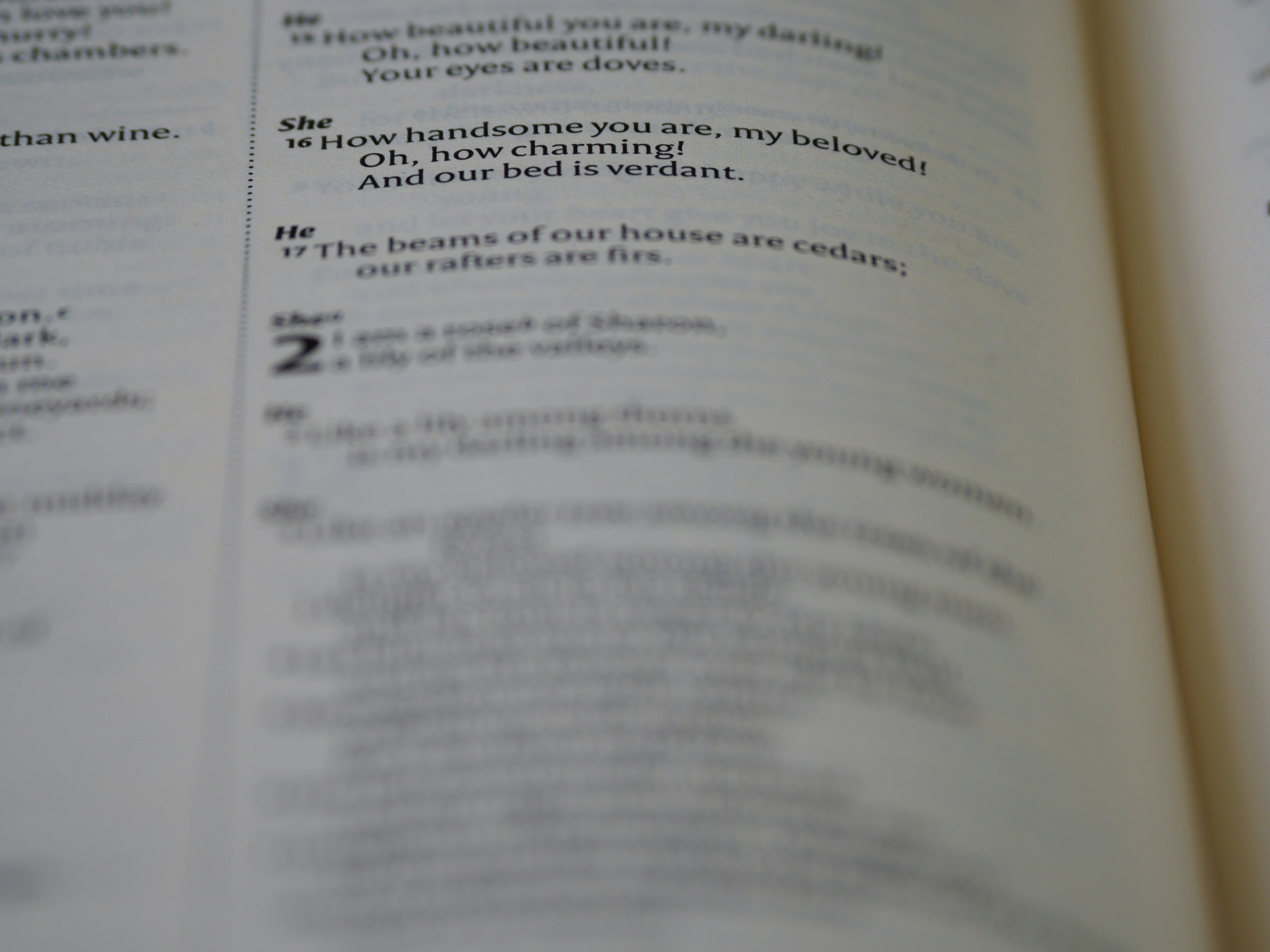 close up, bokeh, macro, blur, blurred background, close focus, bible, old testament, hebrew bible, christian, judaism, history, text, reading, bible study, devotions, text, NIV, New International Version, type, typography, canon, christianity, holy scripture, holy bible, scripture, old testament, hebrew bible, song of songs, שִׁיר הַשִּׁירִים, Šīr hašŠīrīm, ᾎσμα ᾀσμάτων, Âisma āismátōn, canticle of canticles, megillot, tanakh, ketuvim, poem, love poem, love poetry, passover, christ, bride, church, marriage, lovers,