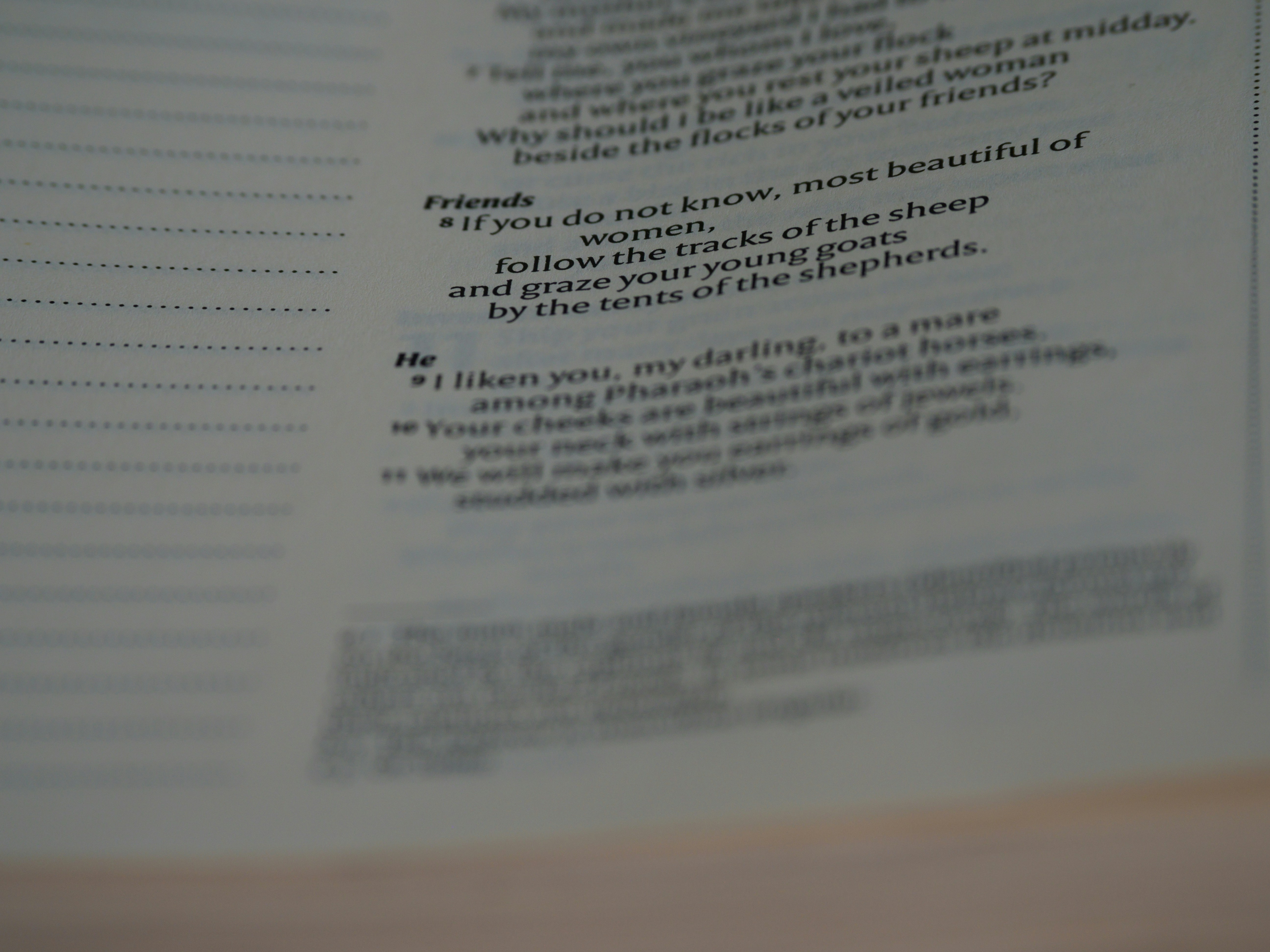 Photo by brett_jordan