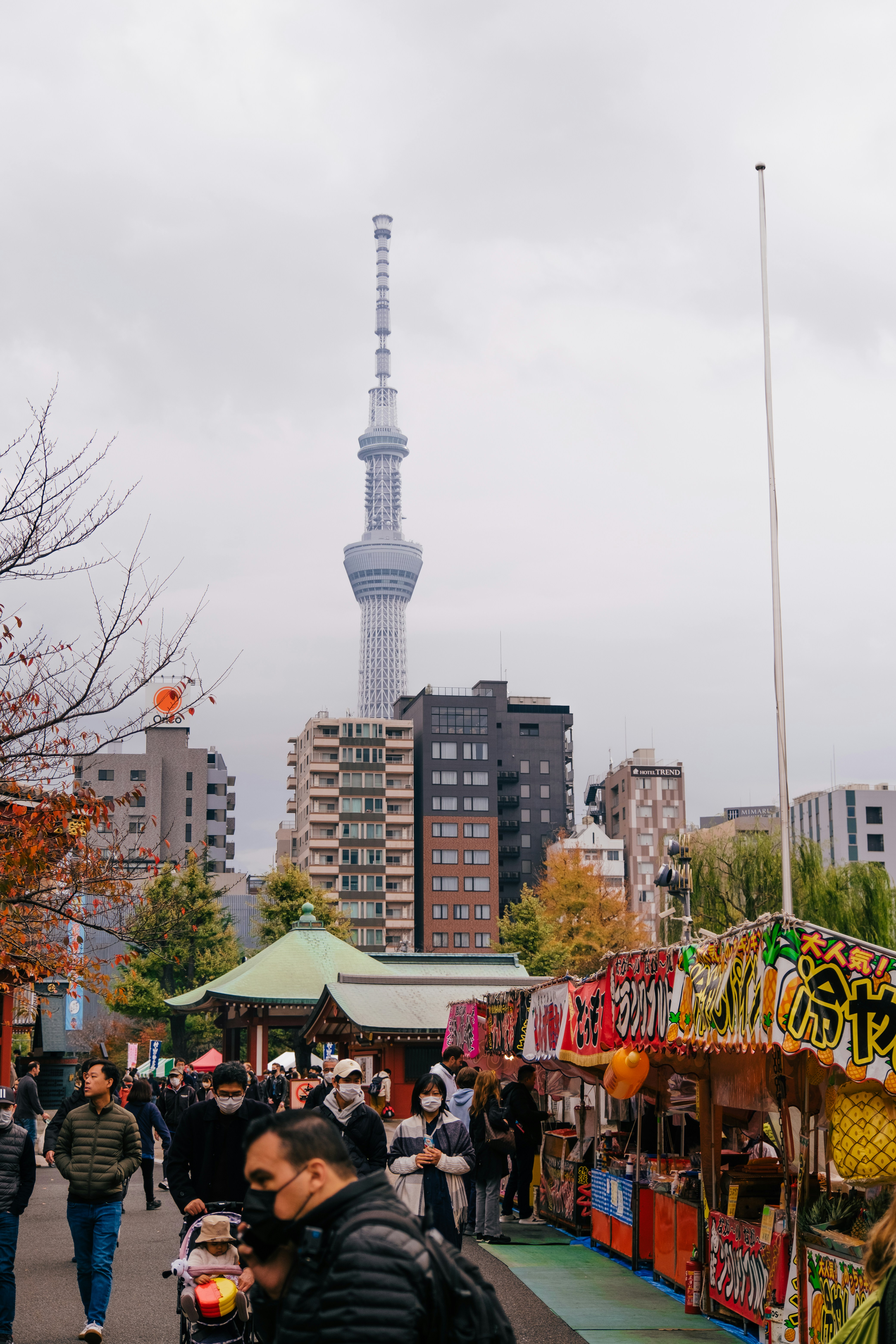 Vegan Food Festival in Tokyo