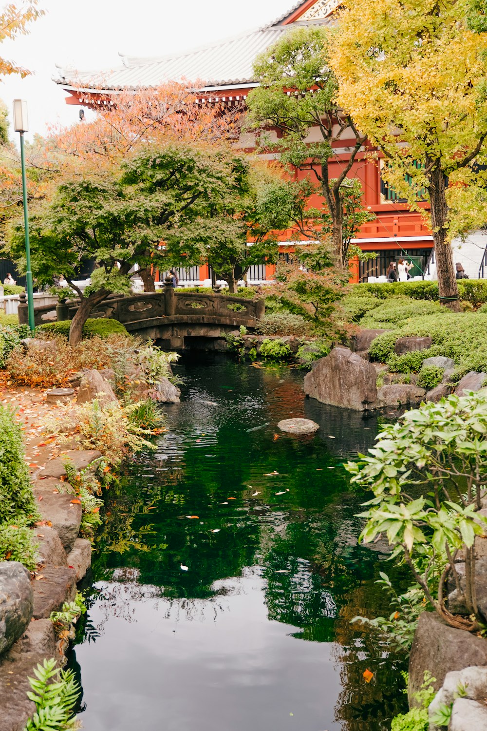 a pond with a bridge and trees