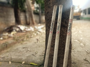 Three white cricket stumps branded with Pepsi stickers are leaning against a tree trunk on a sidewalk. The background includes a blurred street scene with scattered leaves and litter.