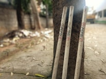 Three white cricket stumps branded with Pepsi stickers are leaning against a tree trunk on a sidewalk. The background includes a blurred street scene with scattered leaves and litter.