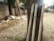 Three white cricket stumps branded with Pepsi stickers are leaning against a tree trunk on a sidewalk. The background includes a blurred street scene with scattered leaves and litter.