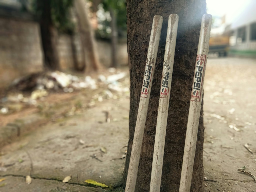 Signature Bat.