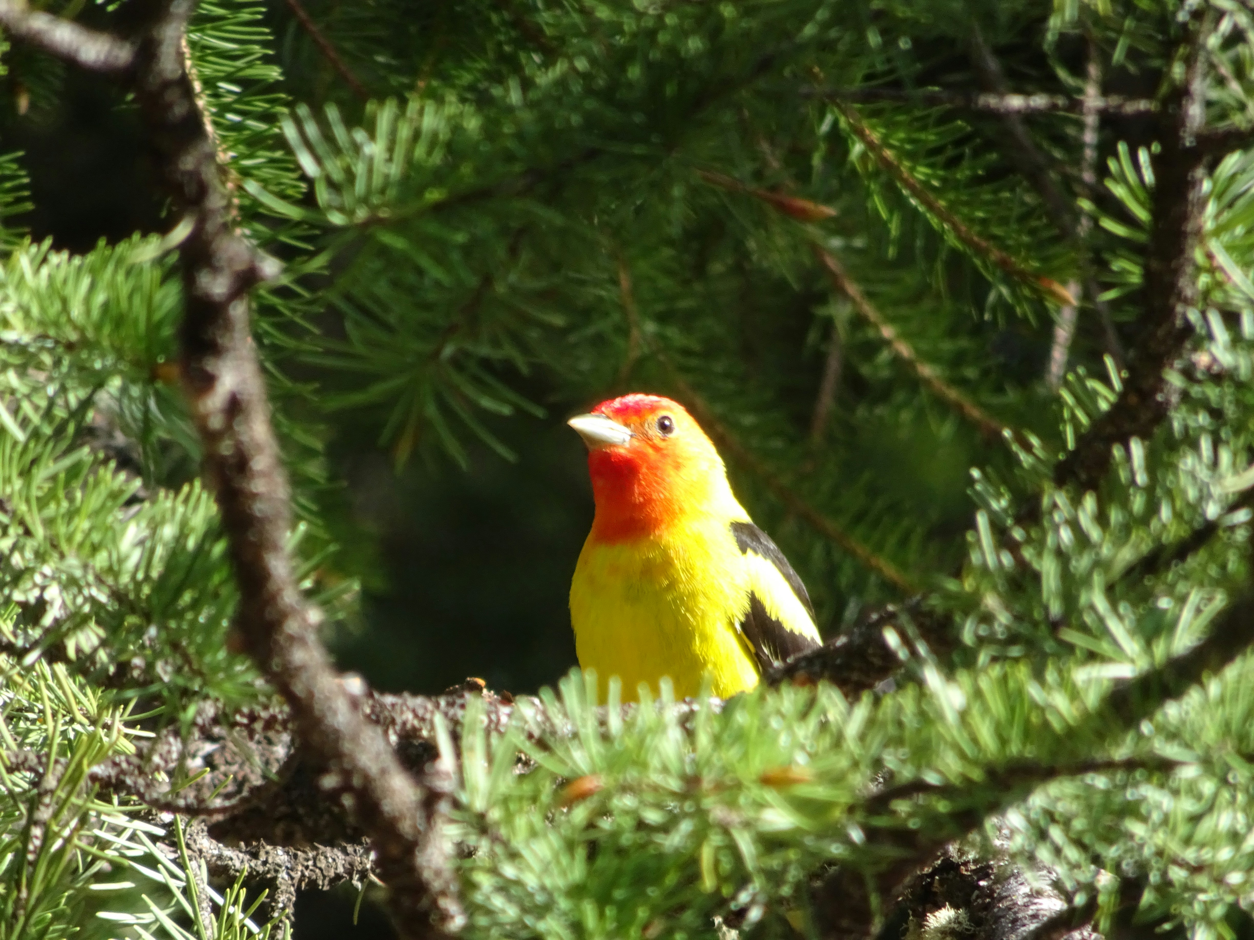 Photo by jessie_wang_daylil