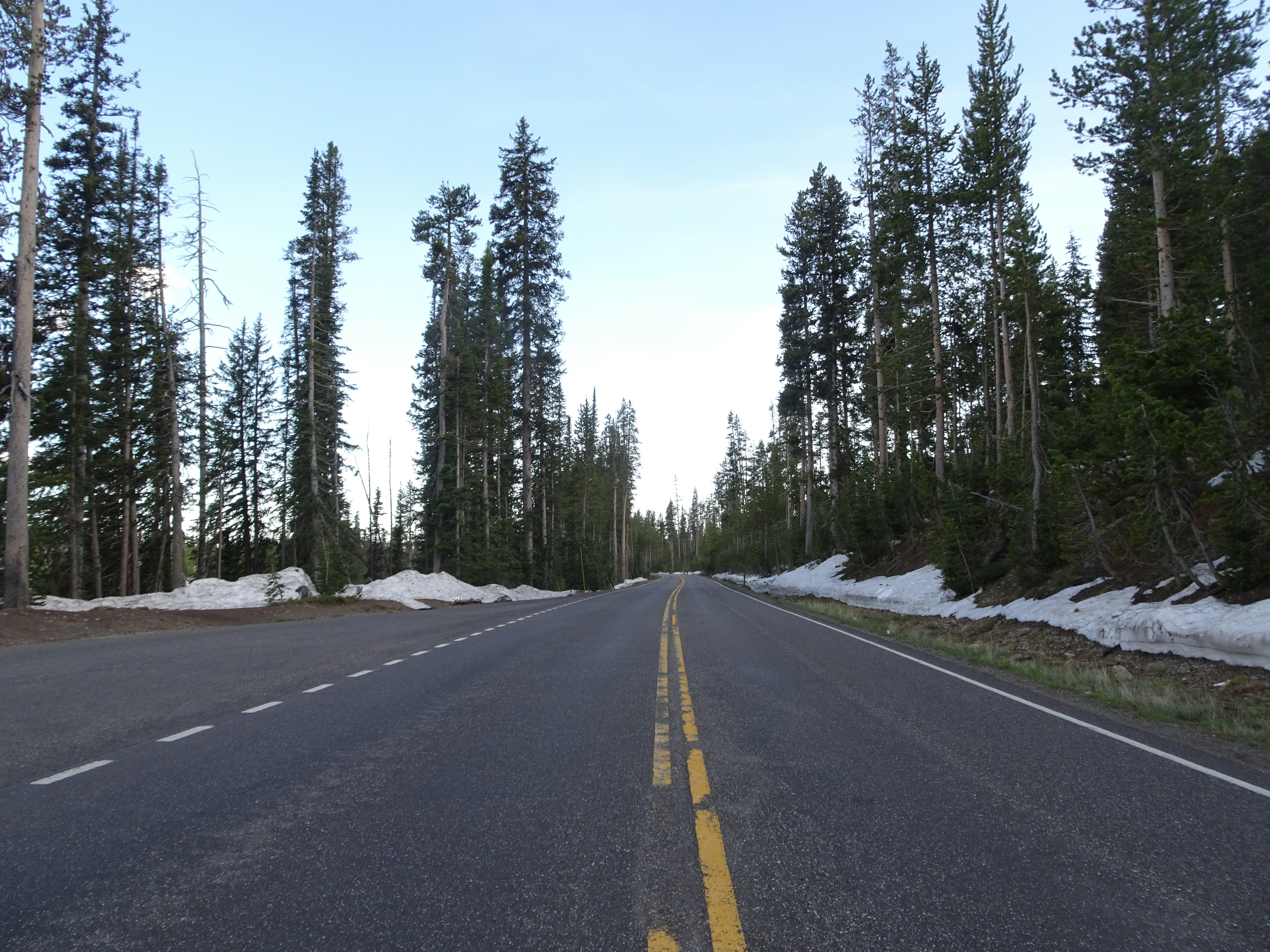 Photo by jessie_wang_daylil