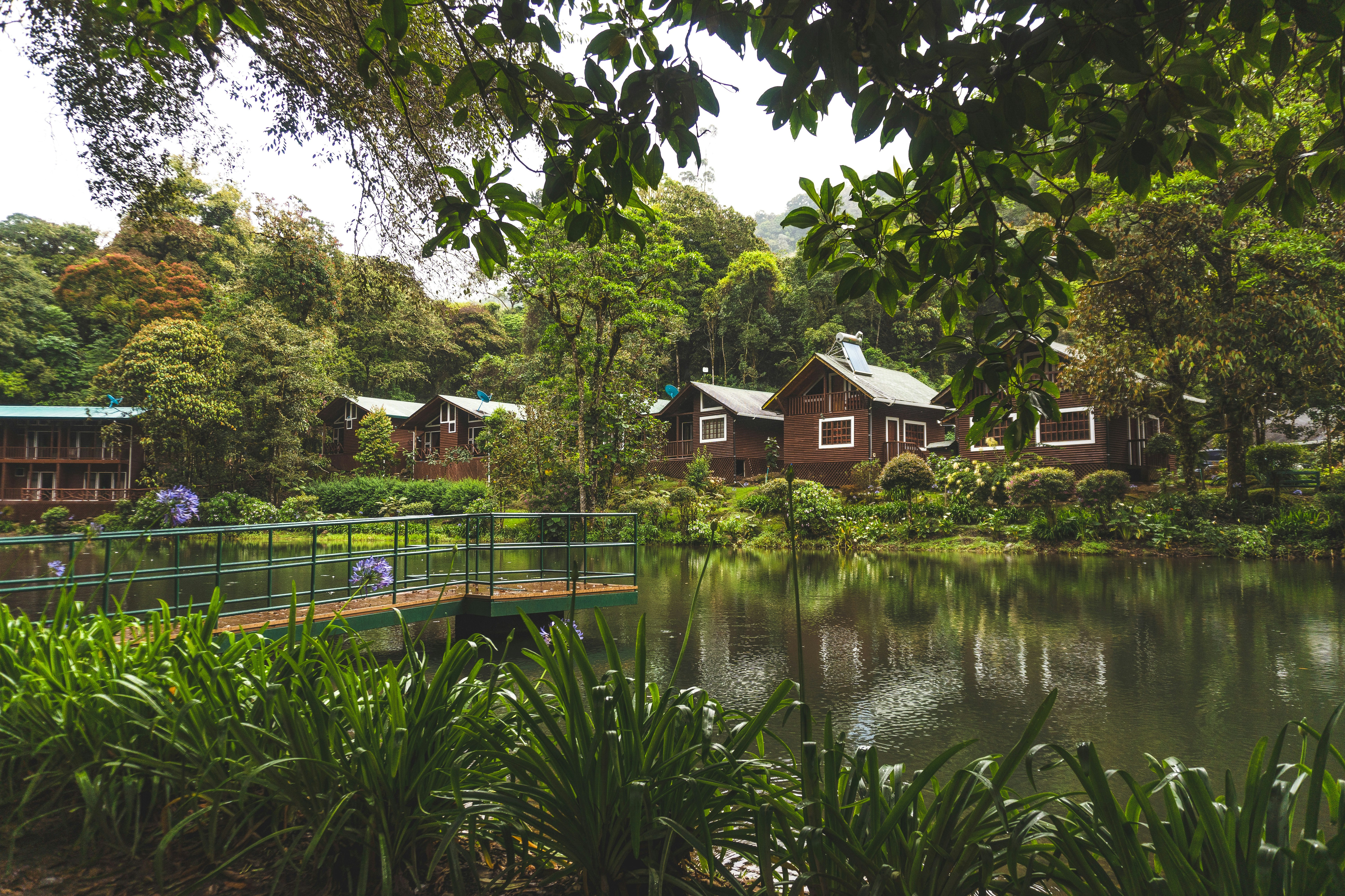 a body of water with houses along it