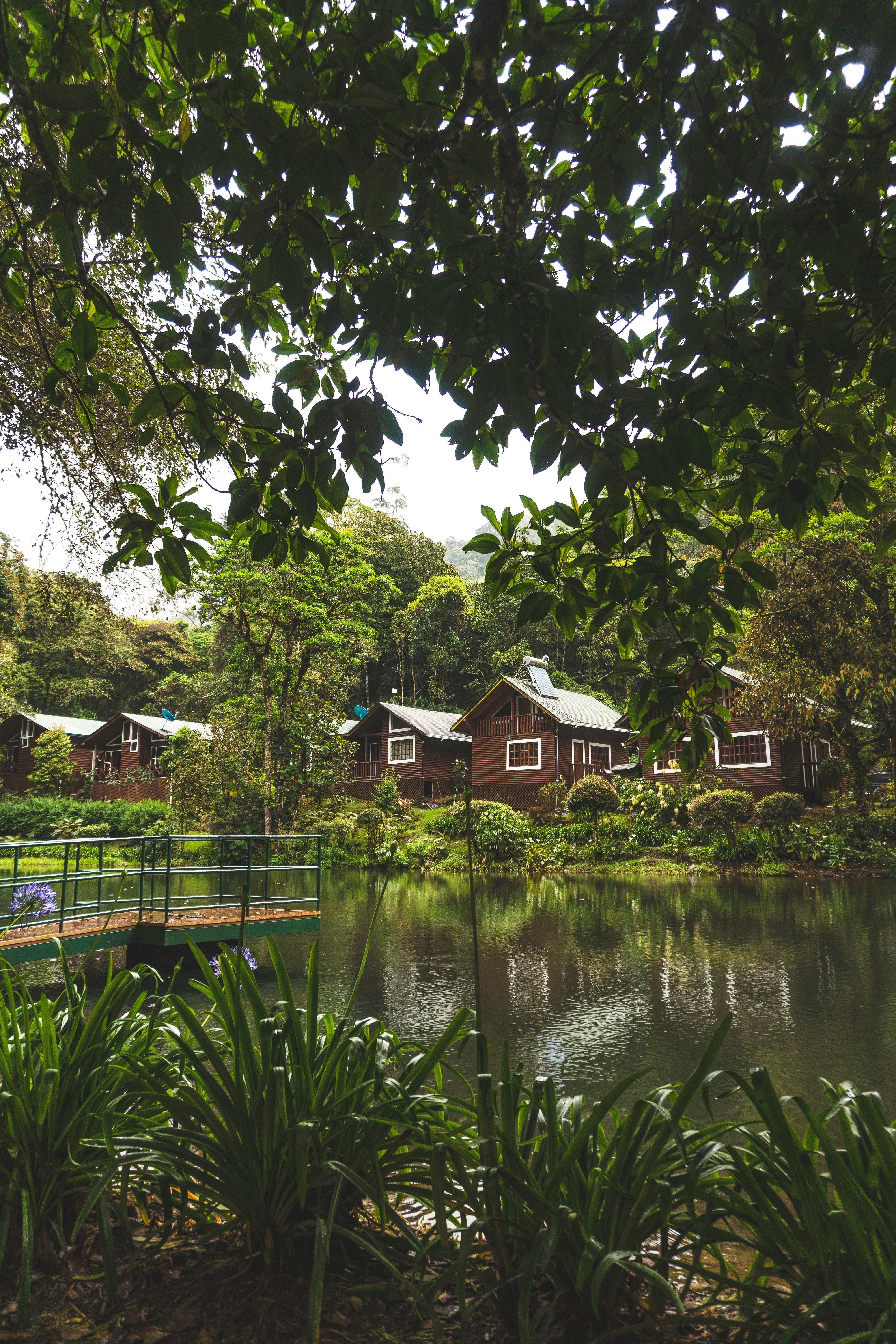 a body of water with houses along it