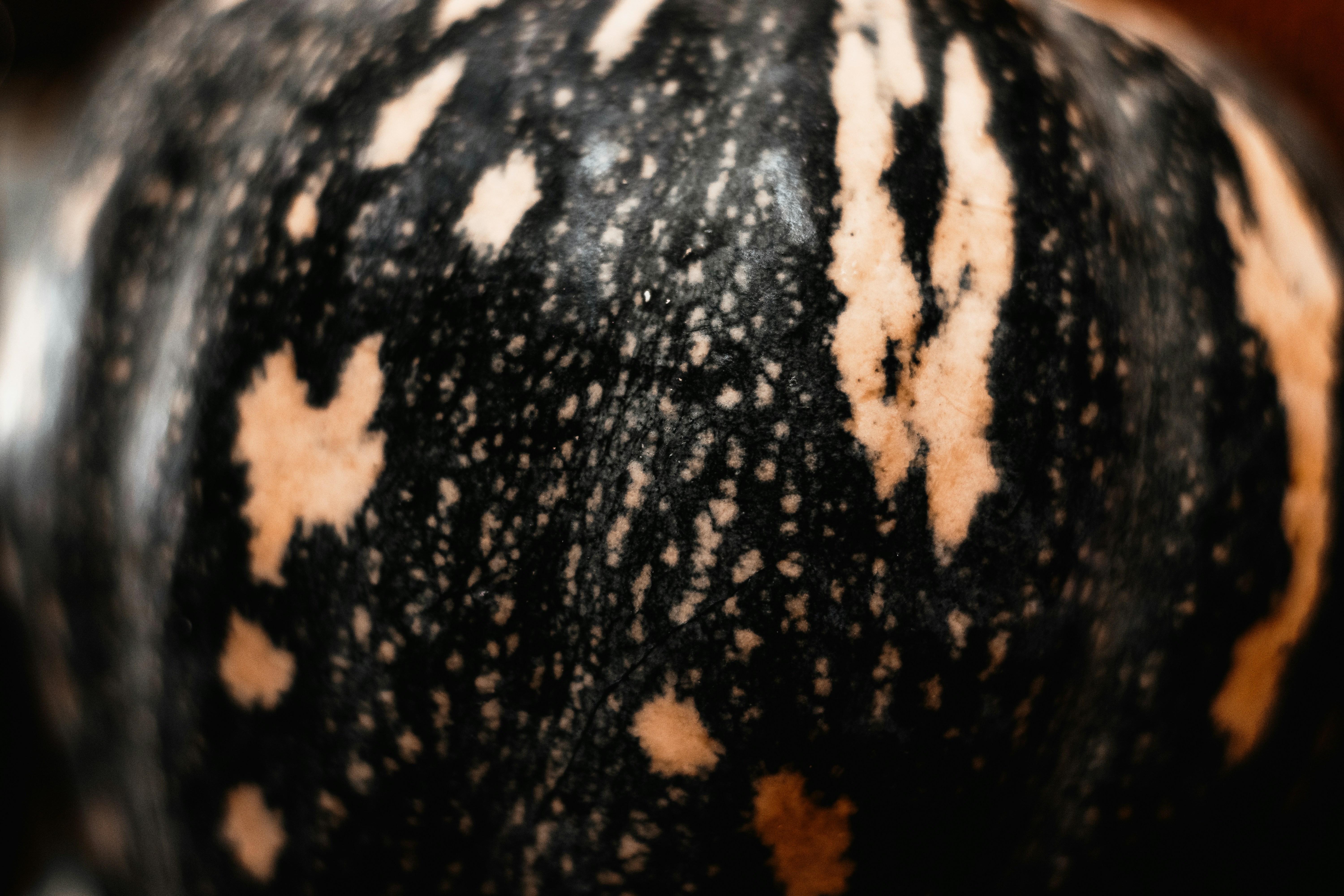Belém, Brazil - PUMPKIN TEXTURE