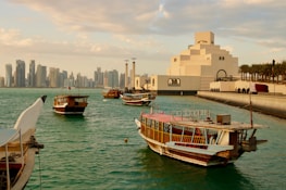 boats in the water