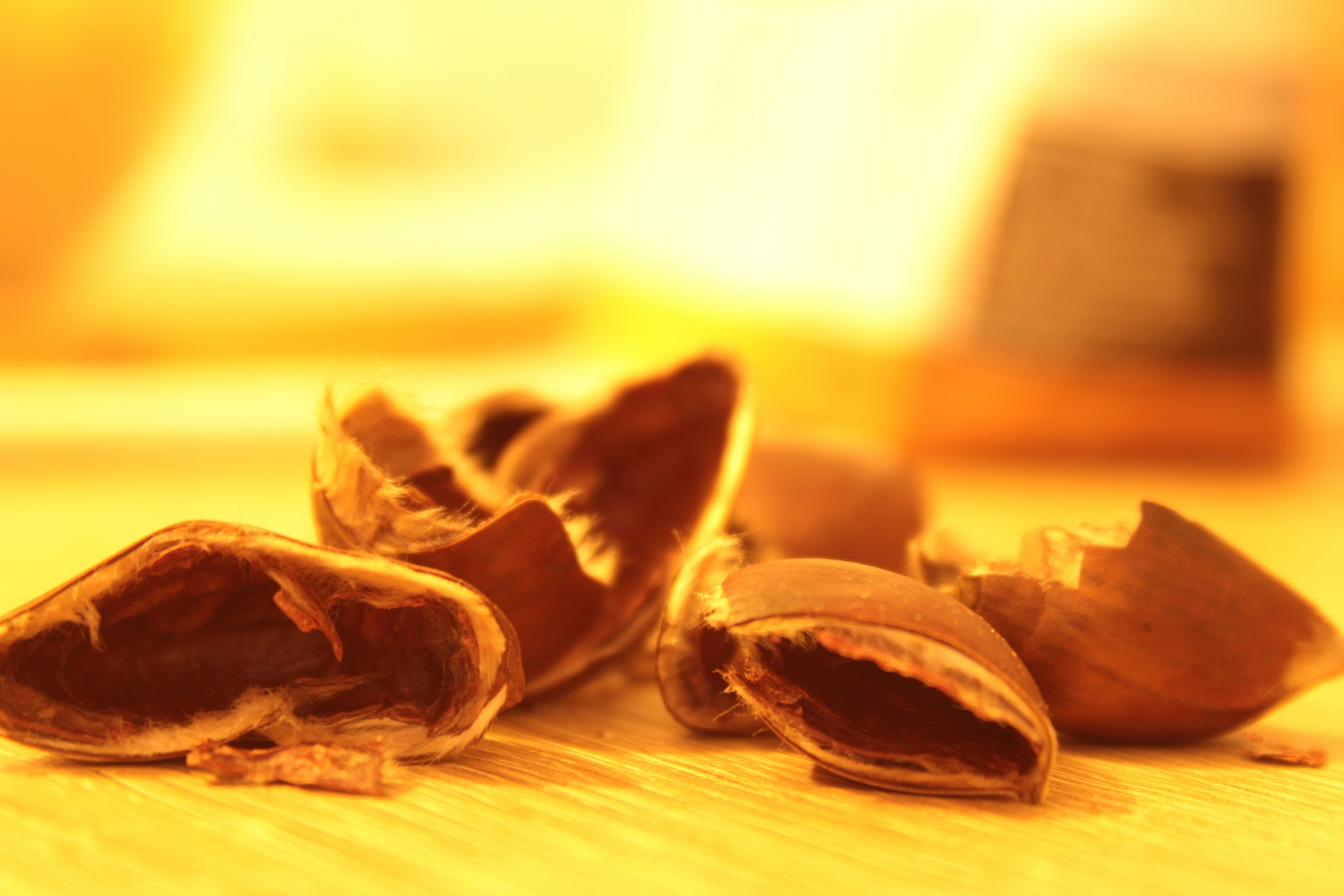 Photo by thorai9akira