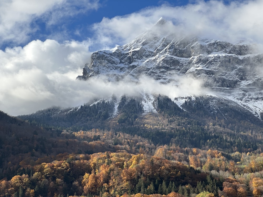 a mountain with clouds and trees below