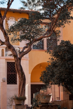 Embrace the Mediterranean Vibe: Elegance and Tranquility in Your Home