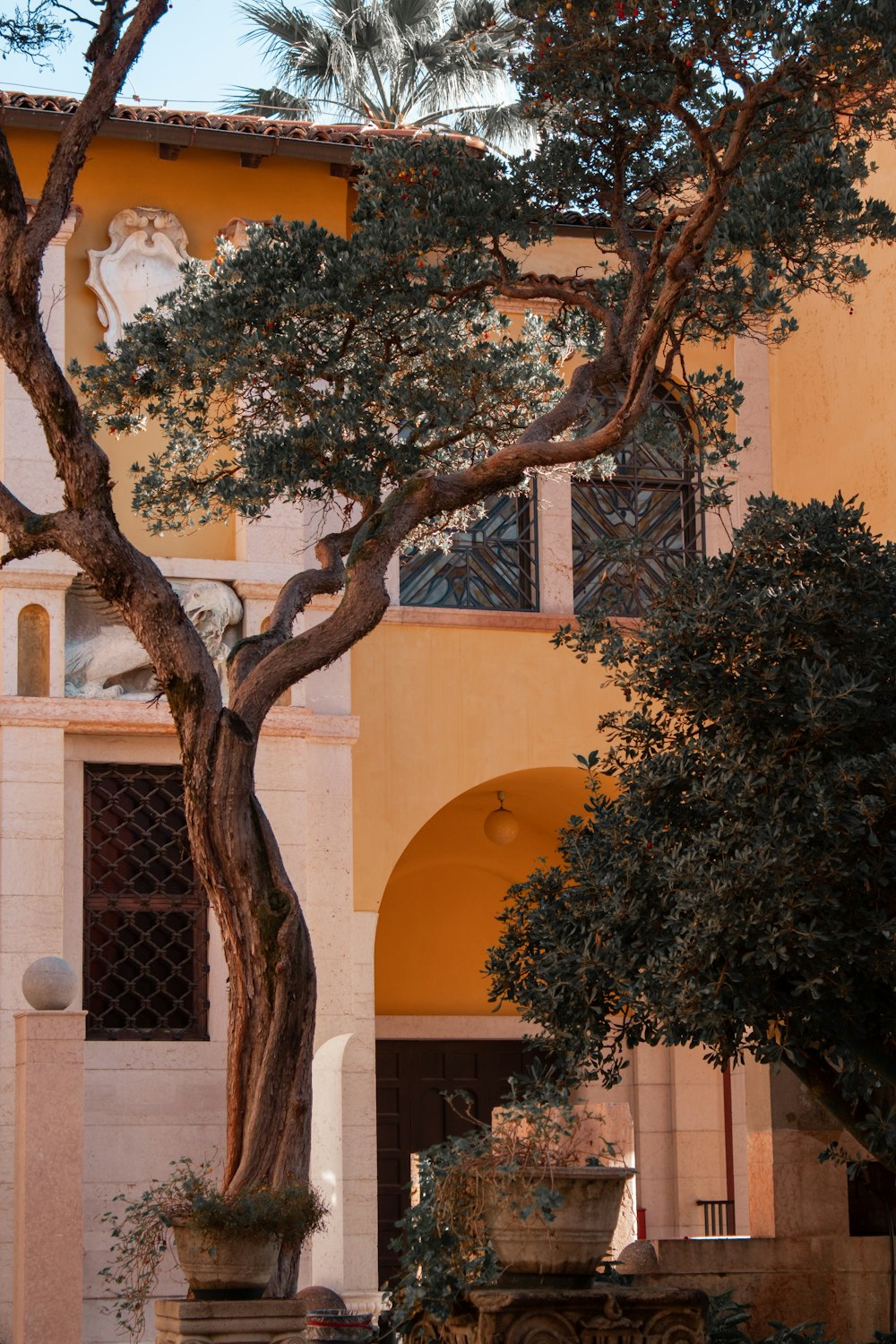 un edificio con alberi di fronte