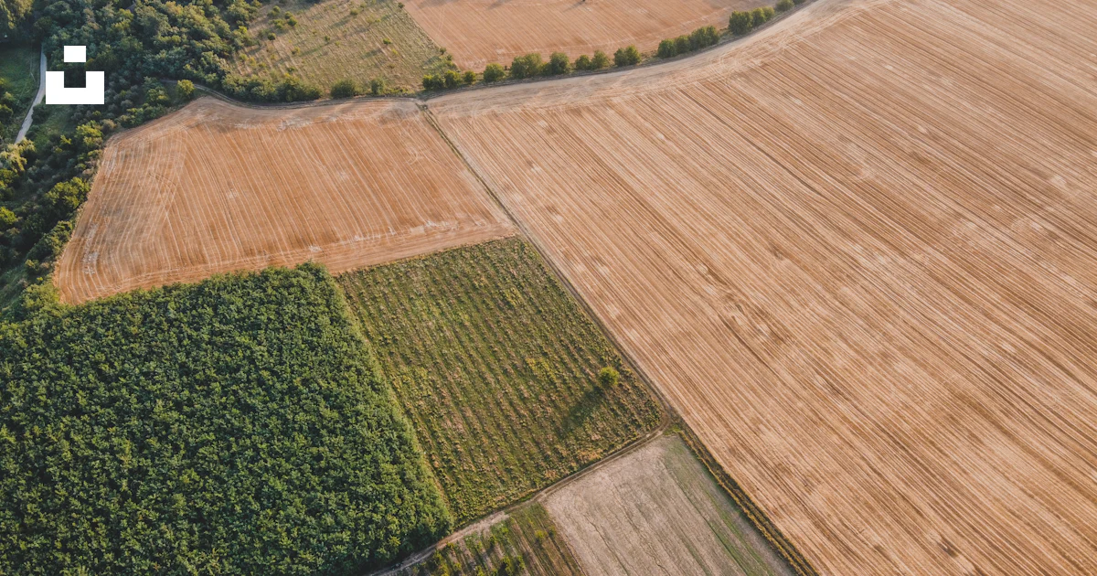 A large field of crops photo – Free Székelyhíd Image on Unsplash