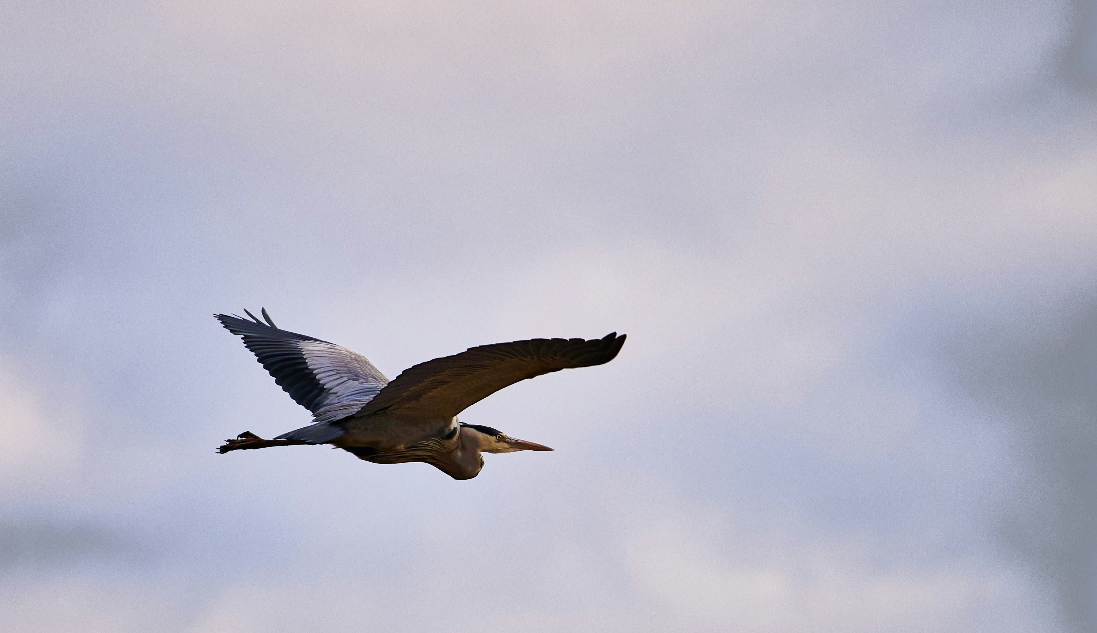 Photo by stefanschwinghammer