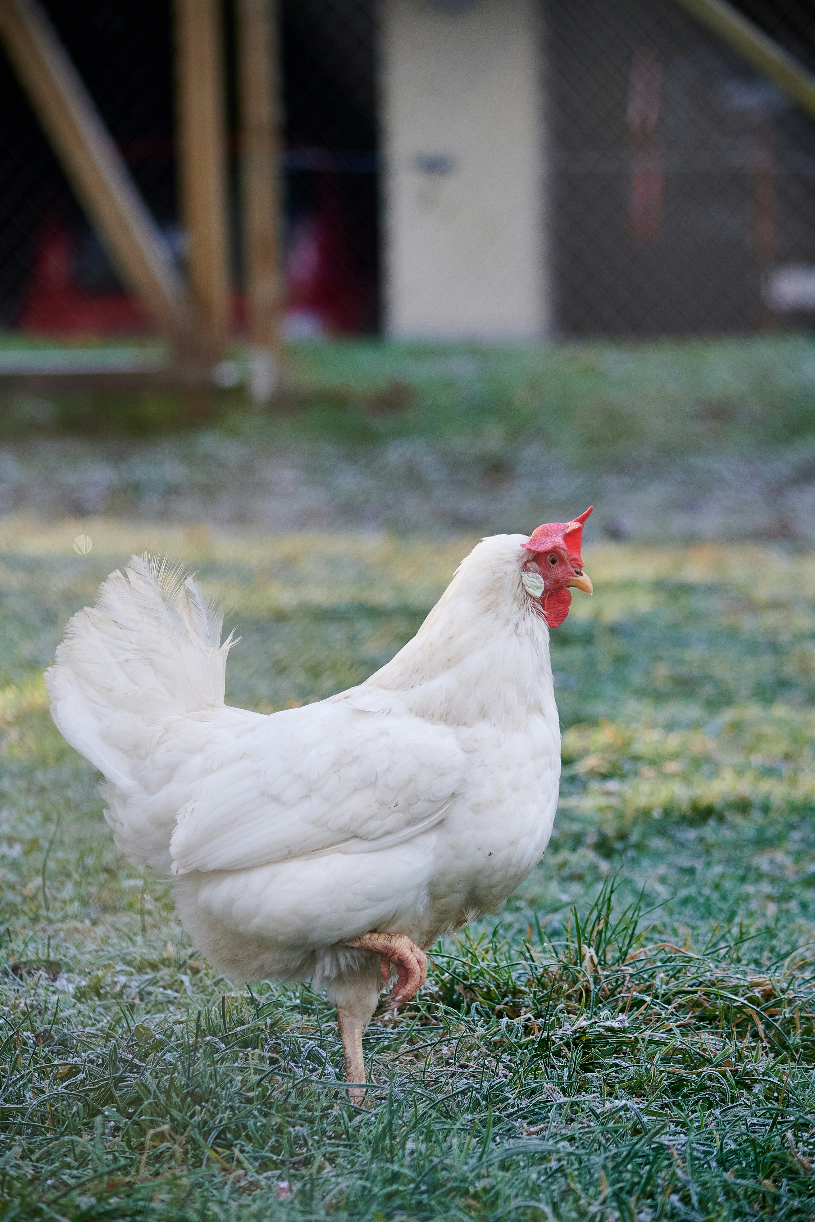 Photo by stefanschwinghammer