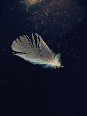 A delicate silk blindfold and feather tickler resting on a plush velvet cloth.