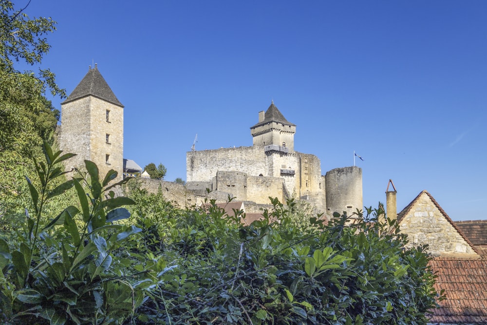 a castle with a tower