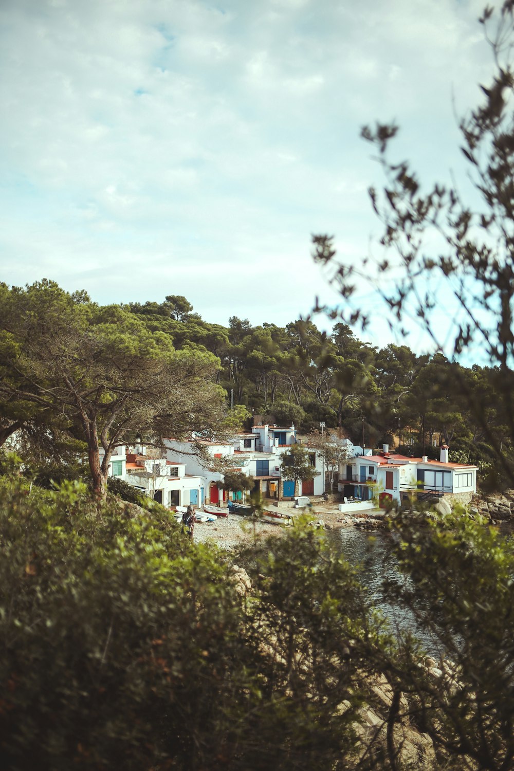 a group of houses in a wooded area